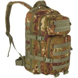 Mil Tec MOLLE US Assault Pack Small Vegetato Woodland
