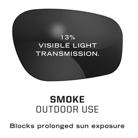 Mechanix Wear Vision Type-N S2 Safety Eyewear Smoke Lens Black Frame